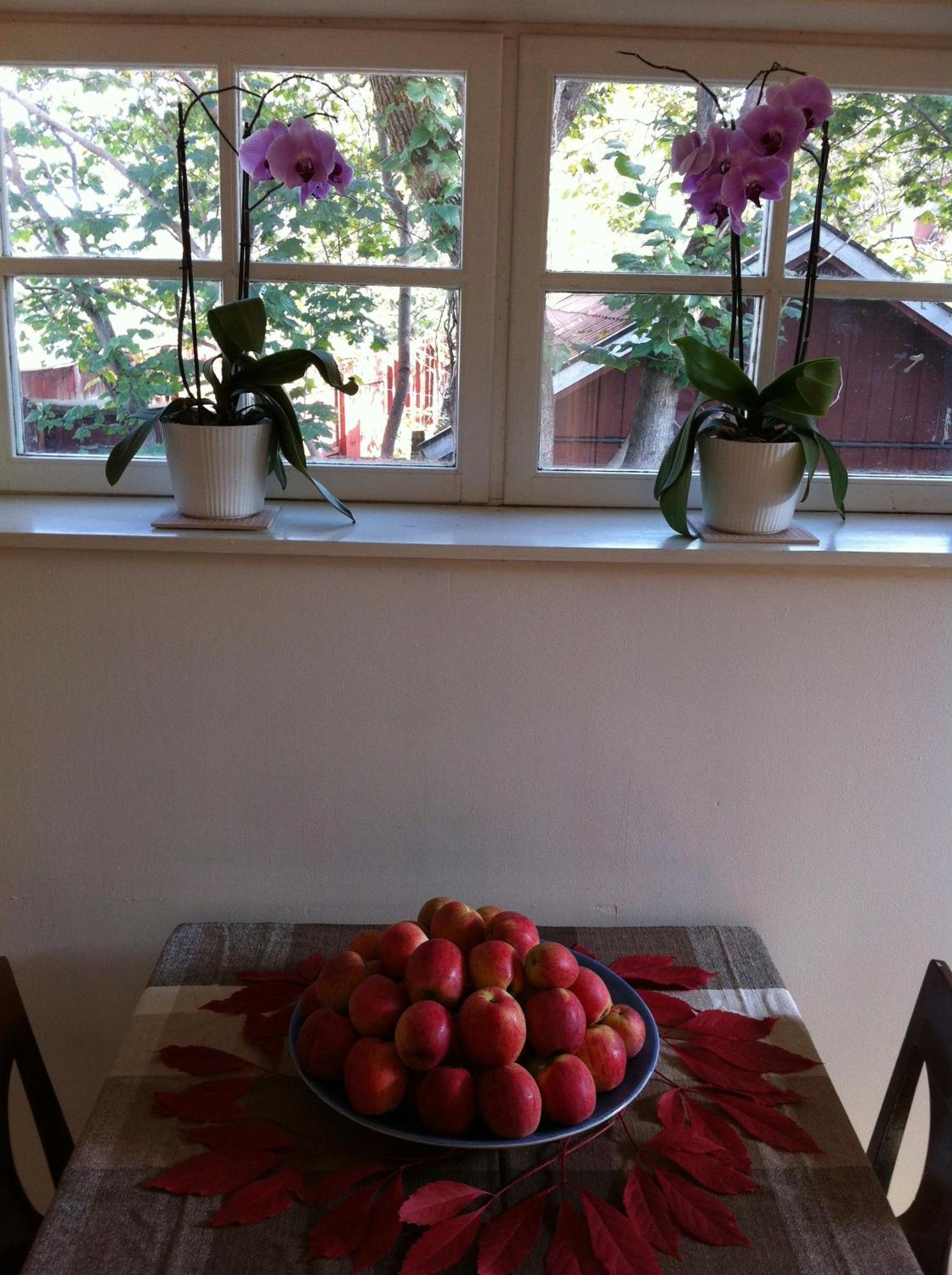 Stockholm B&B Cottage Nacka Rom bilde
