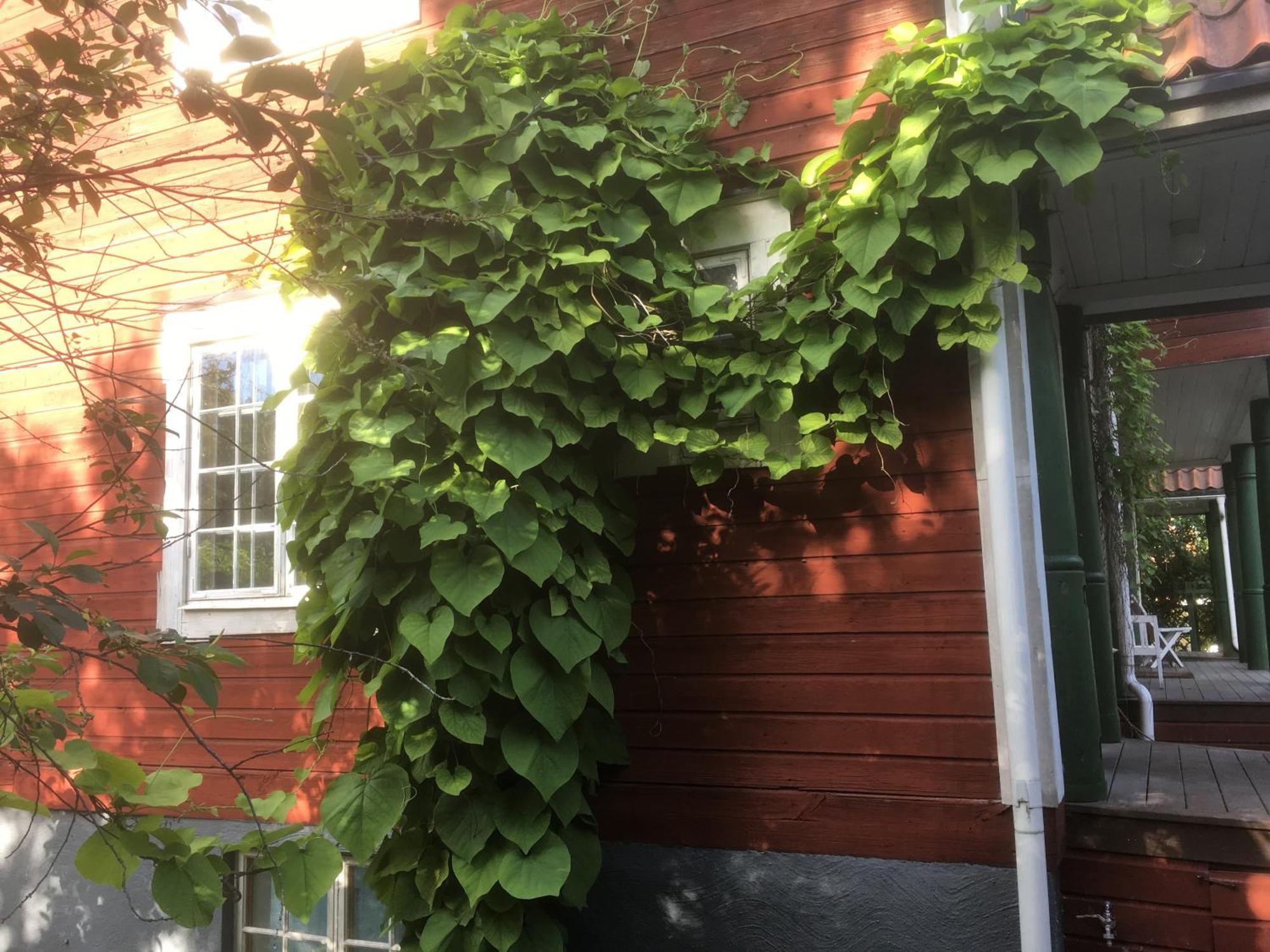 Stockholm B&B Cottage Nacka Rom bilde