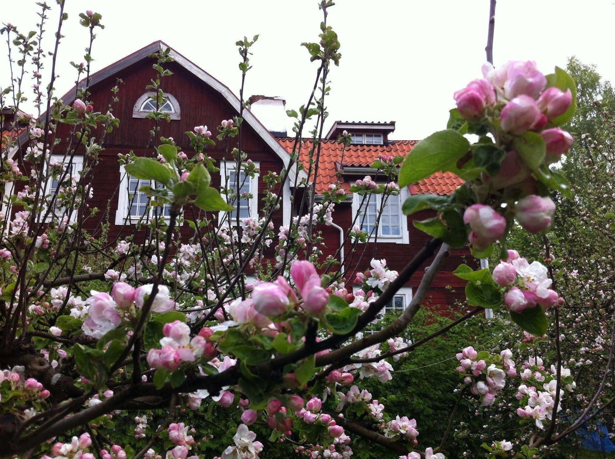 Stockholm B&B Cottage Nacka Eksteriør bilde